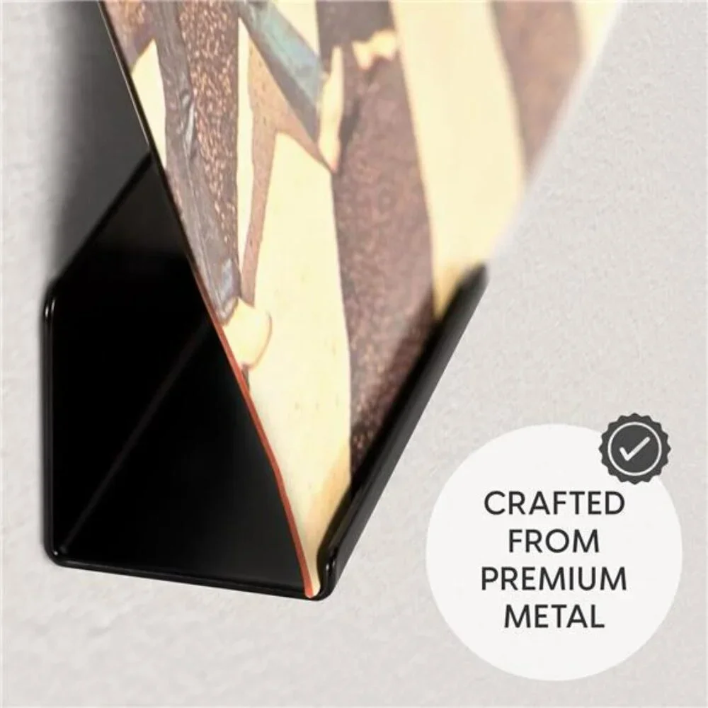 Set of 6 Wall Mounted Vinyl Record Display Shelves Metal Album Holder Racks